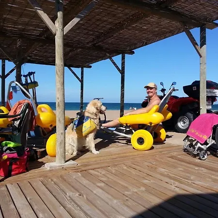 Sunshine, Second Holiday home Els Poblets